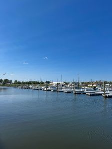 Moonbeam Gateway Marina