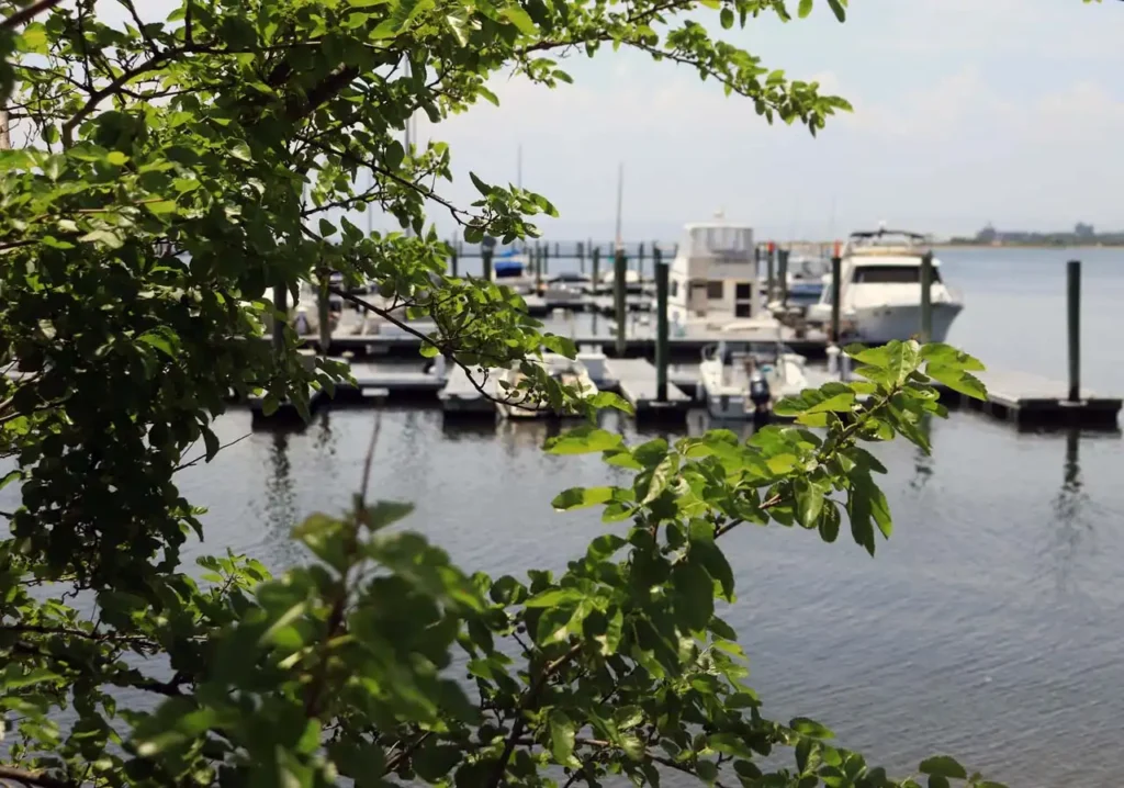 Moonbeam Gateway Marina