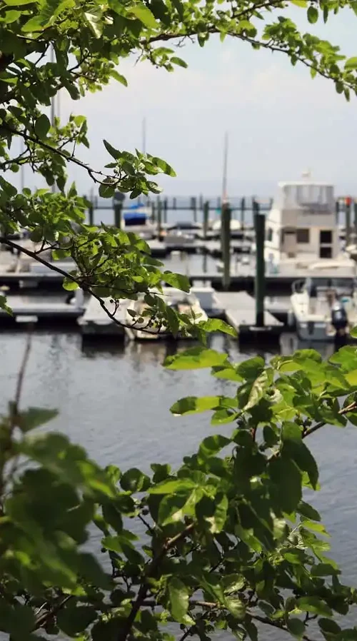 Moonbeam Gateway Marina